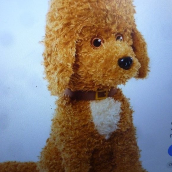 Disney's Fancy Nancy Barking Frenchy Dog - Picture 10 of 10